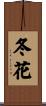 冬花 Scroll
