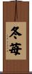 冬苺 Scroll