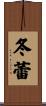 冬蕾 Scroll