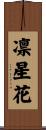 凛星花 Scroll