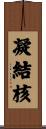 凝結核 Scroll