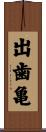出歯亀 Scroll