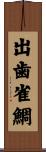 出歯雀鯛 Scroll