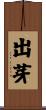 出芽 Scroll