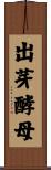 出芽酵母 Scroll