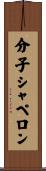 分子シャペロン Scroll