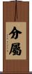 分屬 Scroll