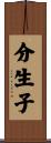 分生子 Scroll