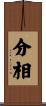 分相 Scroll