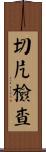 切片檢查 Scroll