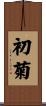 初菊 Scroll
