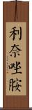 利奈唑胺 Scroll