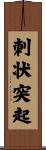 刺状突起 Scroll