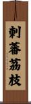 刺蕃茘枝 Scroll