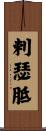 剌瑟胝 Scroll