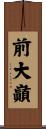 前大巓 Scroll