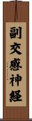 副交感神経 Scroll