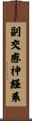 副交感神経系 Scroll
