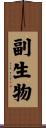 副生物 Scroll