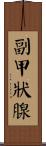 副甲狀腺 Scroll