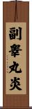 副睾丸炎 Scroll