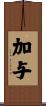 加与 Scroll