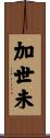 加世未 Scroll
