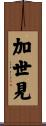加世見 Scroll