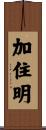 加住明 Scroll