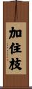 加住枝 Scroll