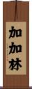 加加林 Scroll