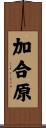 加合原 Scroll