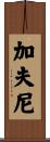 Gaffney Scroll