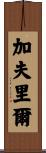 Gavriel Scroll