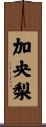 加央梨 Scroll