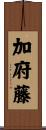 加府藤 Scroll