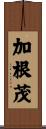 加根茂 Scroll