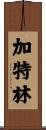 Gatlin Scroll