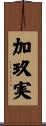 加玖実 Scroll
