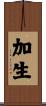 加生 Scroll