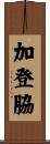 加登脇 Scroll