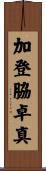 加登脇卓真 Scroll