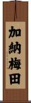 加納梅田 Scroll