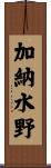 加納水野 Scroll