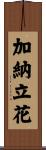 加納立花 Scroll