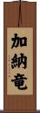 加納竜 Scroll