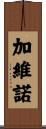 Gabino Scroll