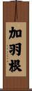 加羽根 Scroll