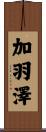 加羽澤 Scroll