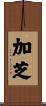 加芝 Scroll